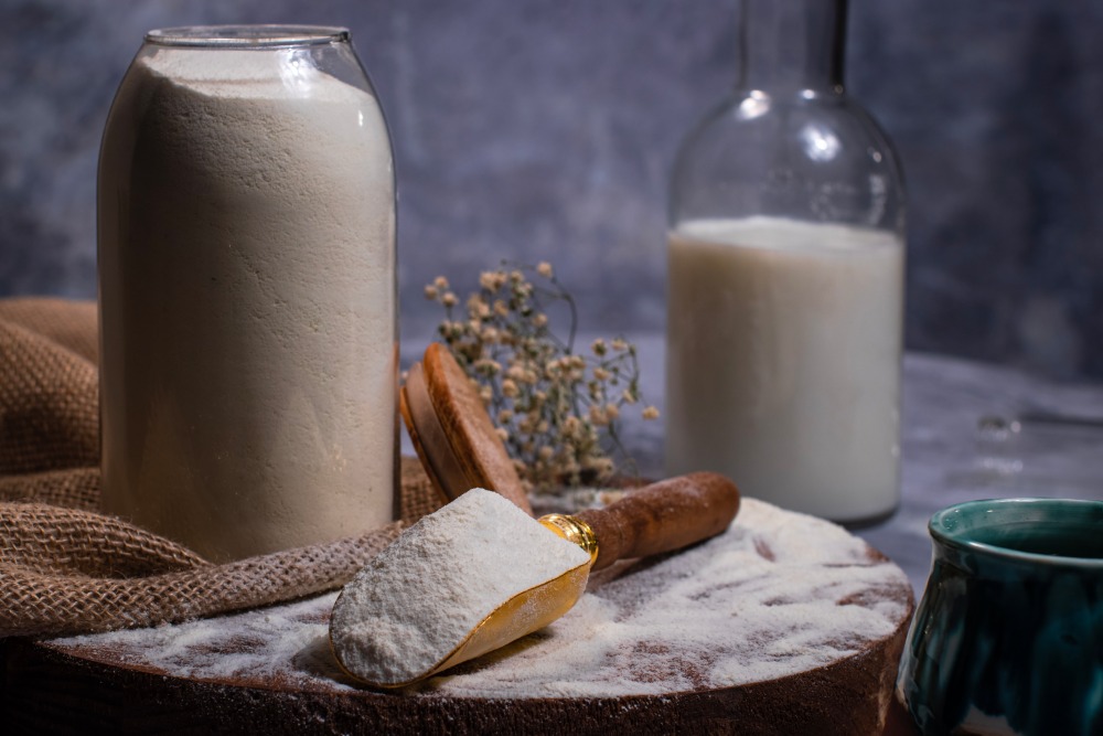 پودر شیر خشک بدون چربی فوری (گرانول اسکیم)
